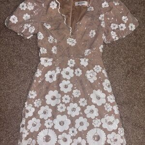 Elliatt Elodie White and Tan Sheath Mini Dress for Weddings